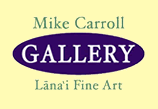 Mike Carroll Gallery