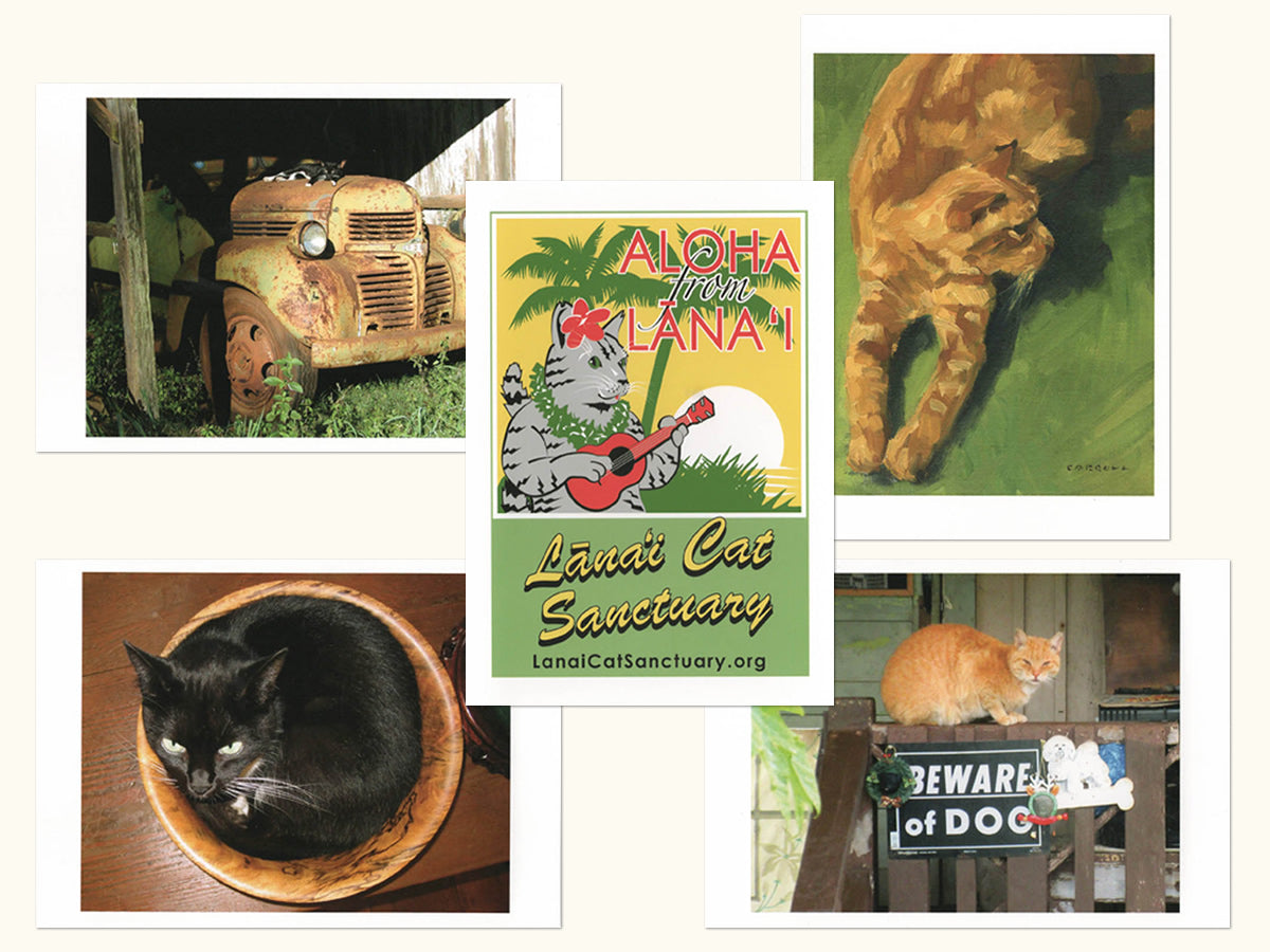 Note Cards: Cats in Paradise