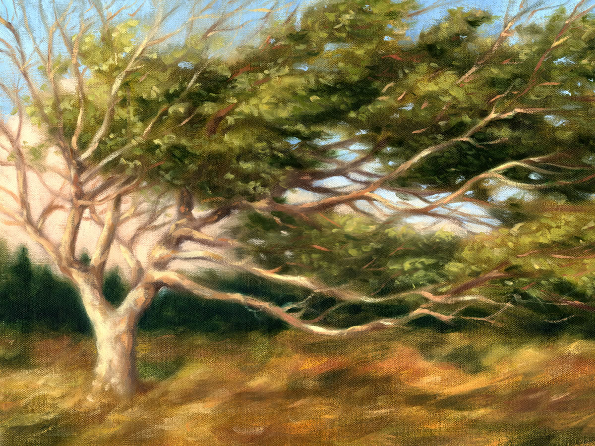 Prevailing Wind (LE)