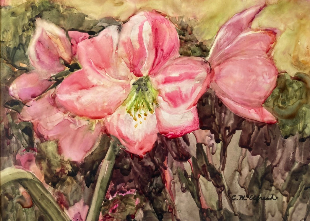 Cheryl McElfresh: Amaryllis