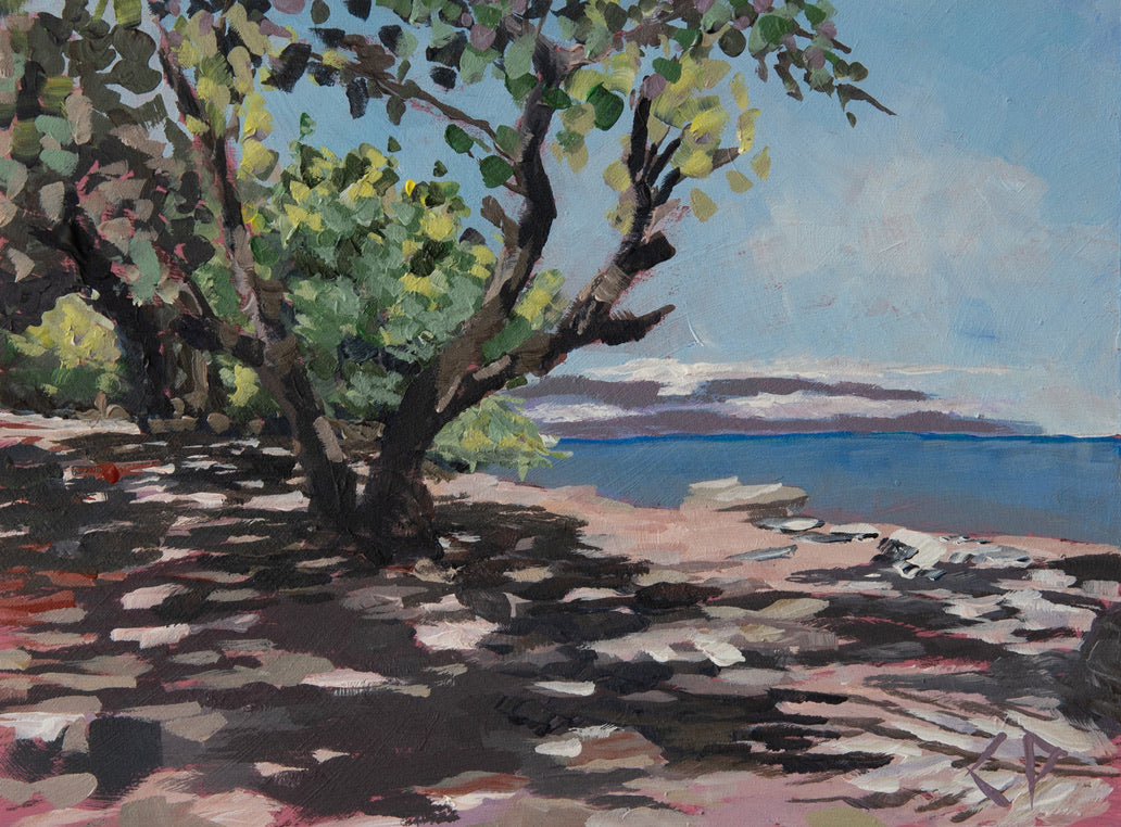 Charlie Palumbo: View Of Molokai #3