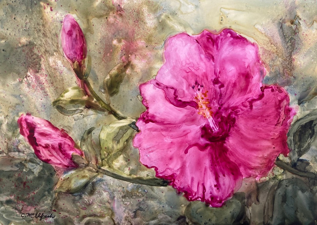 Cheryl McElfresh: Pink Hibiscus