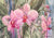 Cheryl McElfresh:  Peaceful Orchids
