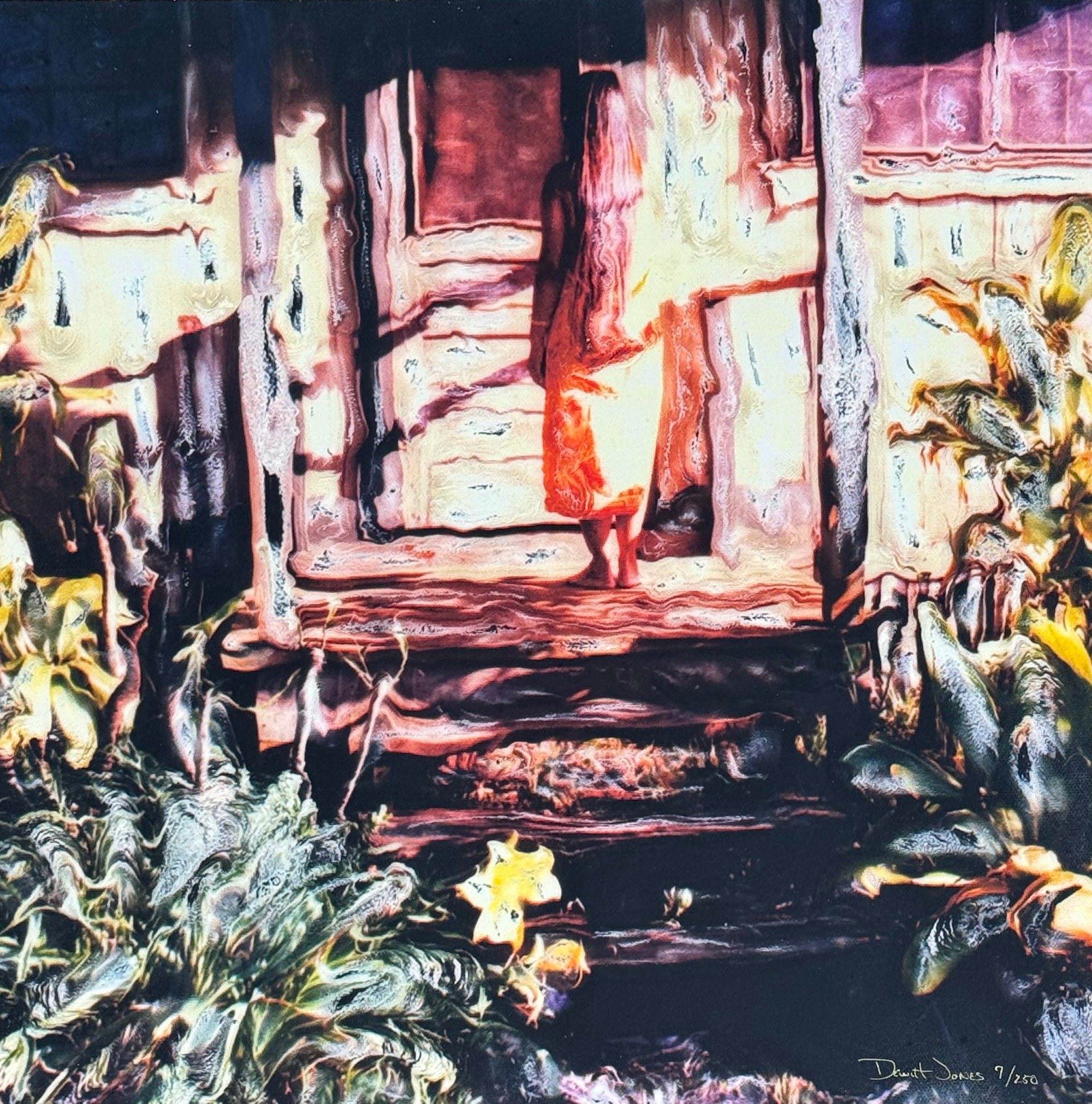 Dewitt Jones: The Girl At The Door