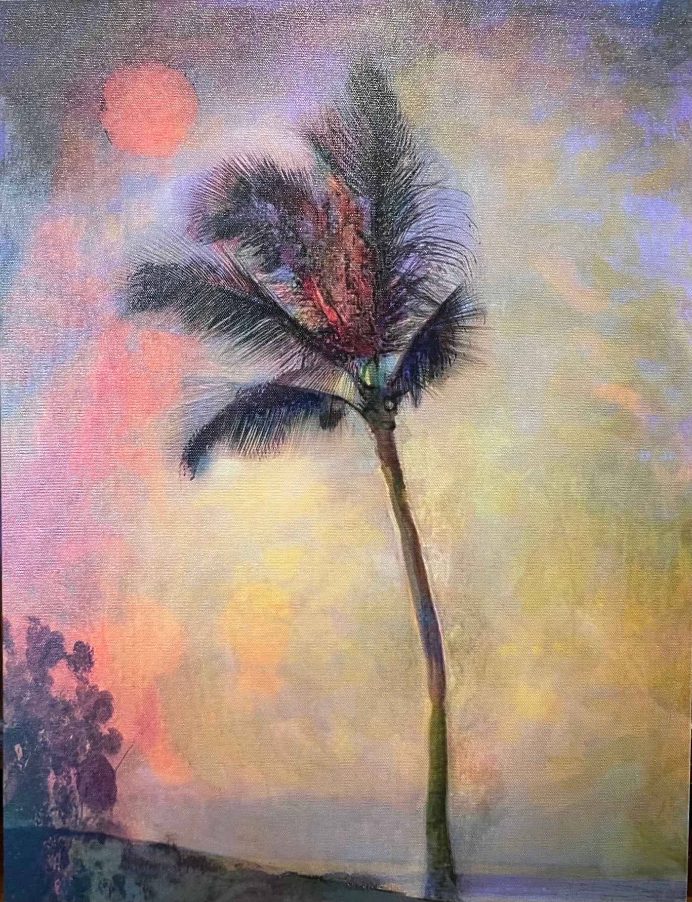 Dewitt Jones: Aloha Palm