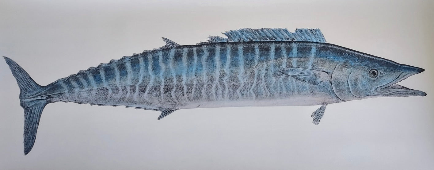 Deep Hawaii Art: Tomʻs Ono (Wahoo)