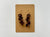 Mario Cervantes: Lana'i Monkeypod Earrings