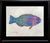 Deep Hawaii Art: Framed "Skittles" The Uhu (Parrotfish) Gyotaku