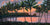 New Day, Lāna'i