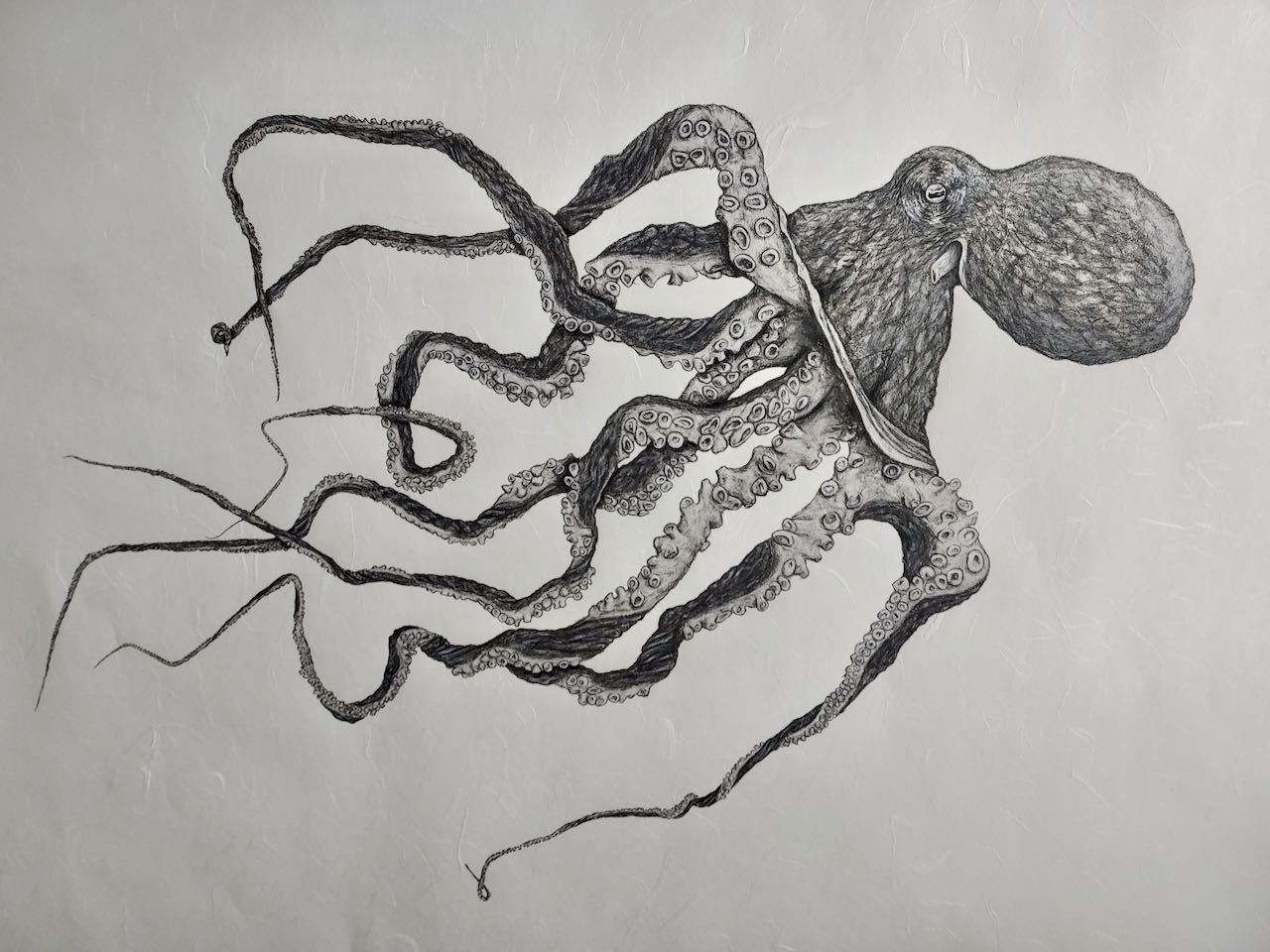 Deep Hawaii Art: "Po`ohiwi" The Octopus Gyotaku, Unframed