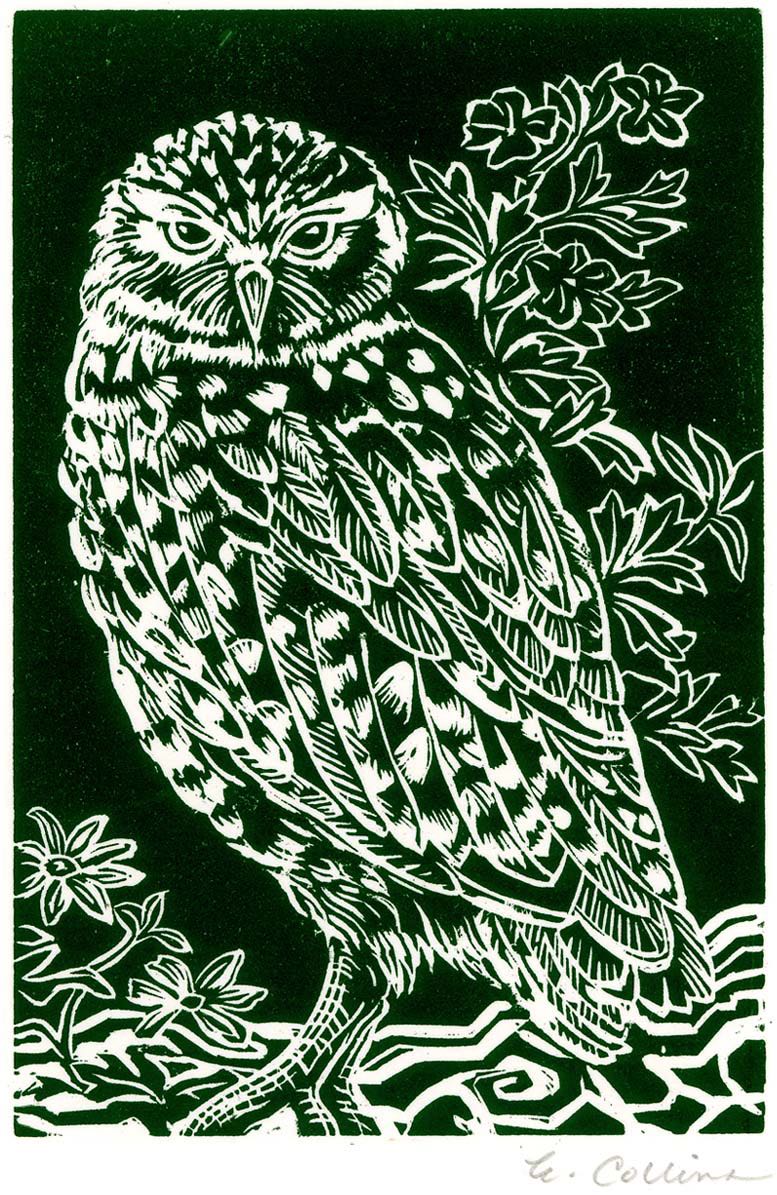 Erica Collins: Burrowing Owl