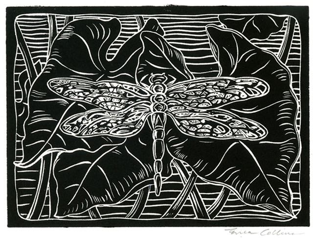 Erica Collins: Dragonfly and Kalo