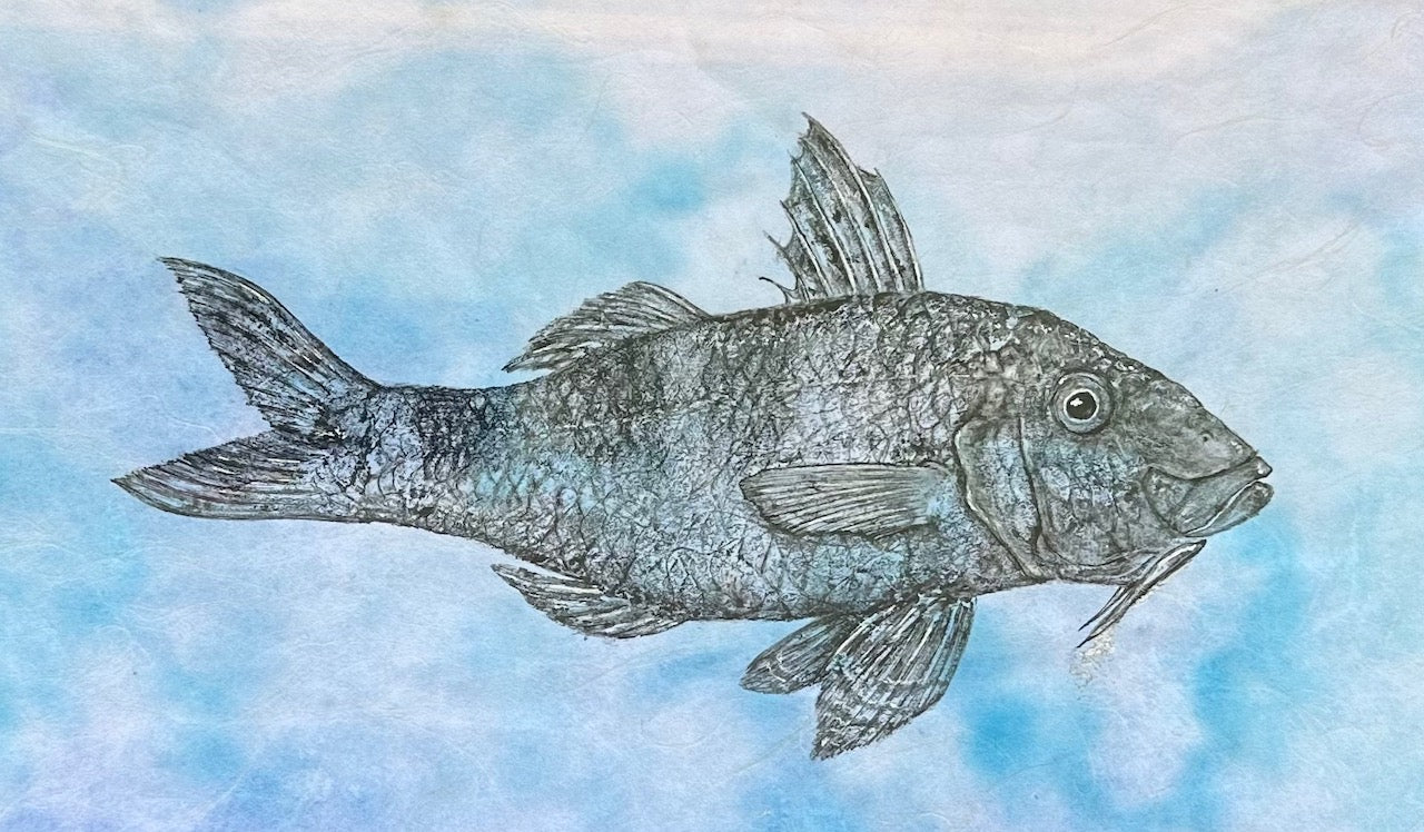 Deep Hawaii Art: Unframed "Griffin" the Goatfish Gyotaku