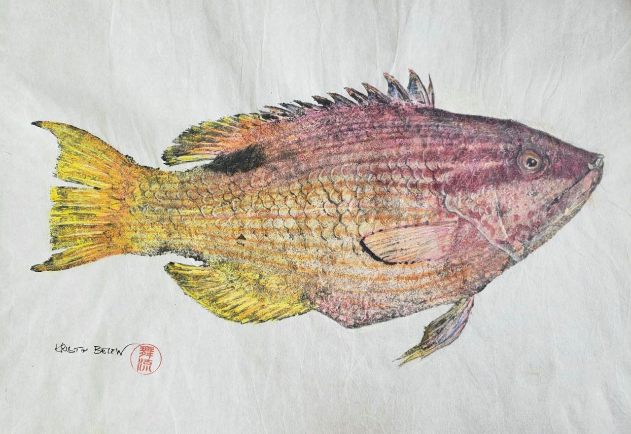 Deep Hawaii Art: "Sunny" The Hawaiian Hogfish Gyotaku