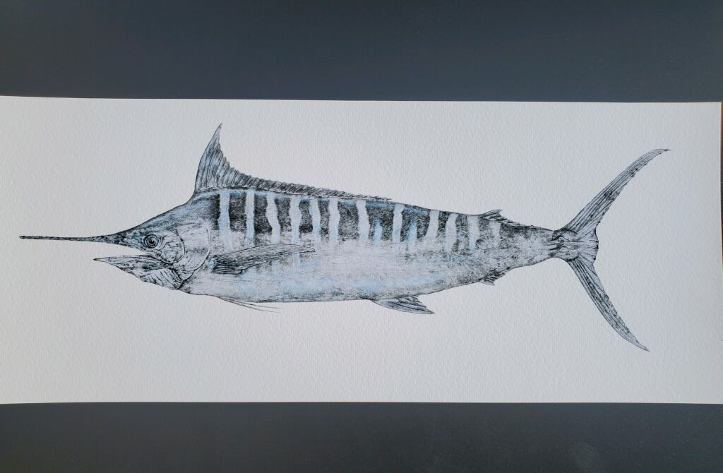Deep Hawaii Art: Marlin Gyotaku - Scaled-down Reproduction