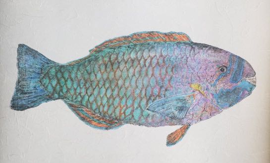 Deep Hawaii Art: Unframed "Skittles" The Uhu (Parrotfish) Gyotaku