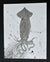 Deep Hawaii Art: Framed "Squidward Inks" Pelagic Squid Gyotaku