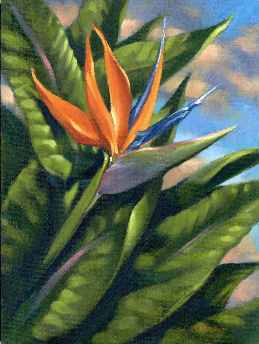 Bird of Paradise - Mike Carroll Gallery