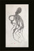 Deep Hawaii Art: "Ollie" The Octopus Gyotaku
