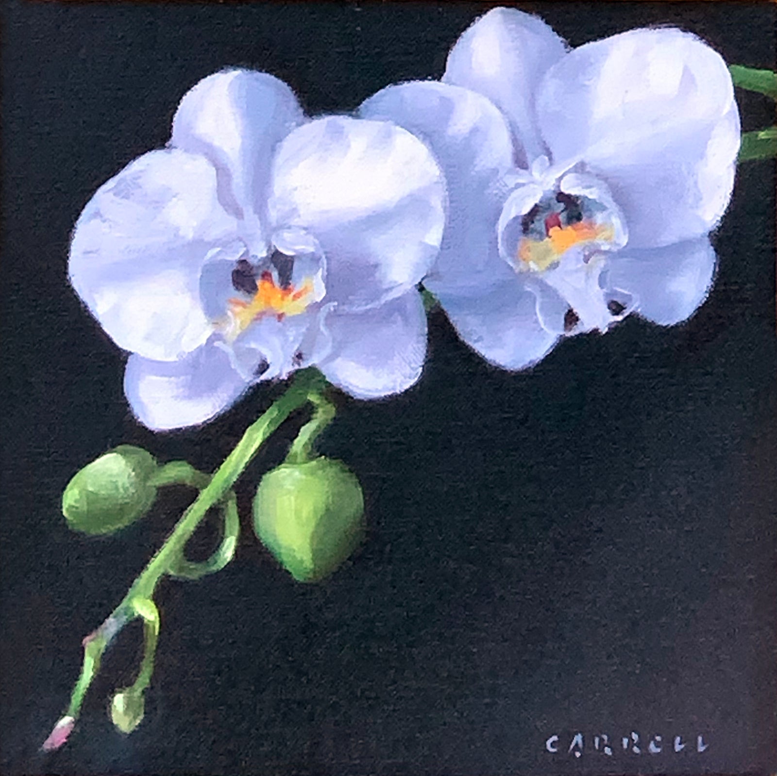 Tumbling Orchids
